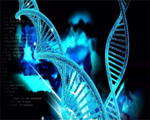 浙江捐卵微信群，浙江二胎最新政策浙江二胎政策奖励6万