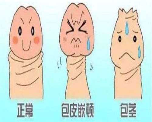 浙江哪个医院有供卵针打，2026 江苏供卵试管婴儿费用大概多少