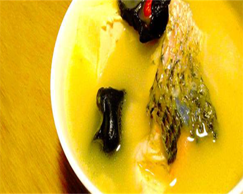 浙江助孕排名，2026年浙江农林大学浙江省分专业录取分数