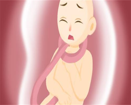 浙江哪里找人借腹生子,浙江十大试管医院排名：浙江哪里做试管婴儿比较好