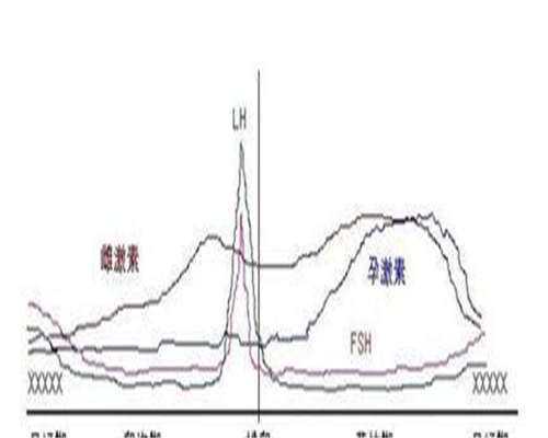 浙江代生子中心，【浙江开学时间2026最新】浙江开学时间2026最新