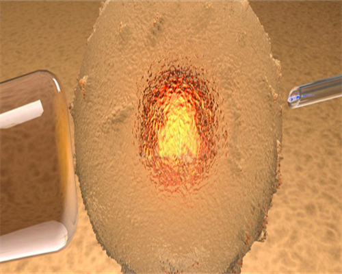 江西供卵是合法的吗,【浙江省供卵合法的医院】所有产检搞定就回产房，医生