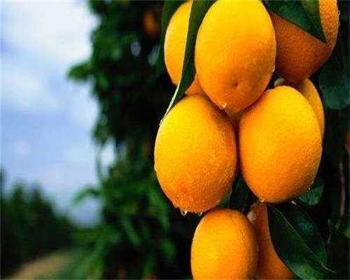 浙江供卵平台,浙江有供卵机构吗,在宁波做三代试管婴儿能筛查出哪些疾病？浙