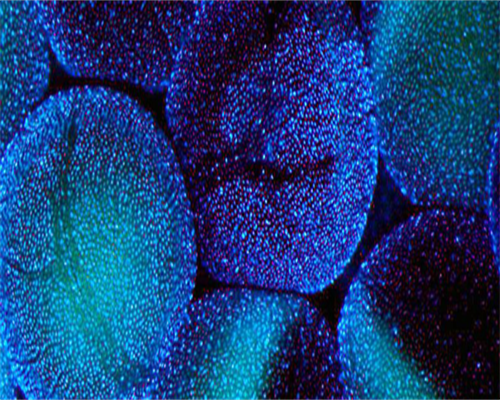 浙江试管婴儿医院排名？