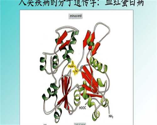 浙江找人代生价格，​2026年浙江生育待遇新标准