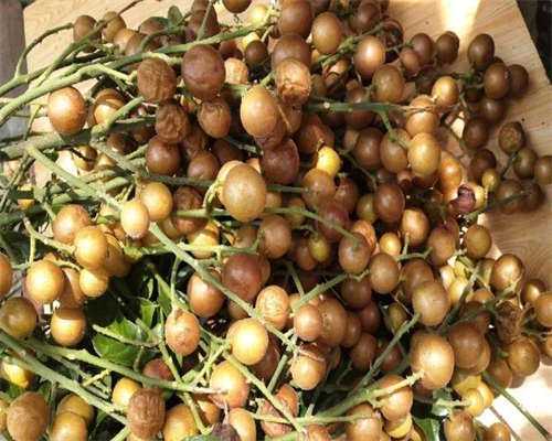 浙江地下捐卵，浙江产假多少天2026？2026浙江产假最新规定？