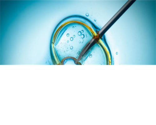 合法浙江代生机构，浙江试管供卵助孕生子多少钱？浙江产假工资？