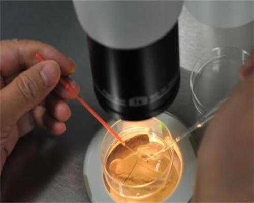 浙江捐卵仲介，浙江供卵试管服务，浙江试管婴儿多少钱一次