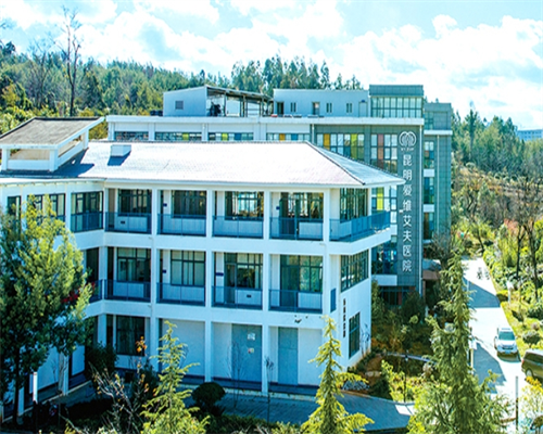 试管外国宝宝_试管生男孩最好的医院,影响着床的因素有什么，盘点影响移植后