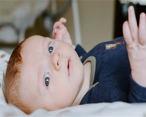 浙江有借卵吗，2026浙江试管婴儿在医保报销范围内吗？