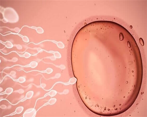 浙江代怀男孩，浙江产假多少天2026？2026浙江产假最新规定？