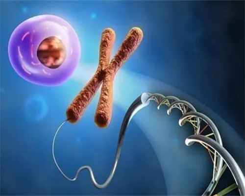 锦江妇幼保健院做三代试管能选择性别吗