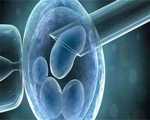 浙江能做供卵医院,嘉兴正规助孕中介名单