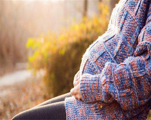 浙江代生双胞胎网，浙江生育政策2026年新规定，浙江省三胎政策最新消息2026