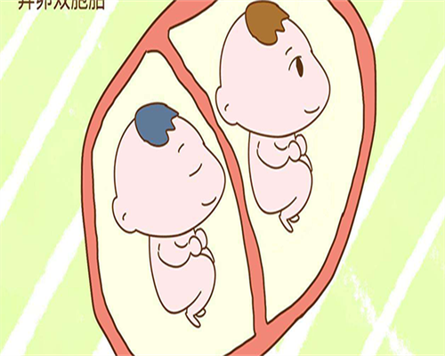 杭州做试管最好的医院是哪家，2026 浙江广受好评的试管医院前6排名