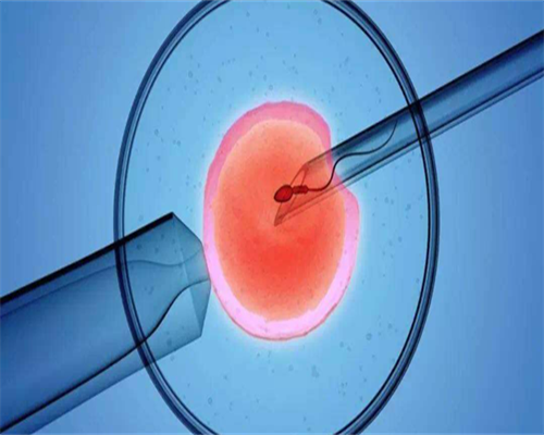 浙江找捐卵中介，【浙江开学时间2026最新】浙江开学时间2026最新