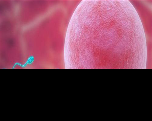 浙江有捐卵子，浙江产假多少天2026？2026浙江产假最新规定？