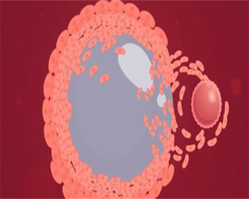 金华三代试管的成功率_浙江三代试管