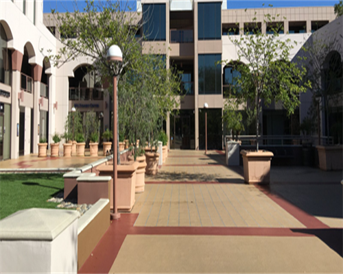 y染色体微缺失试管成功率,y染色体缺失鲜胚试管