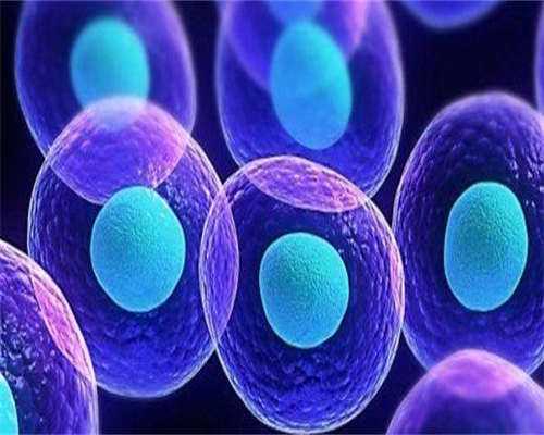 温州市人民医院试管婴儿成功率一览