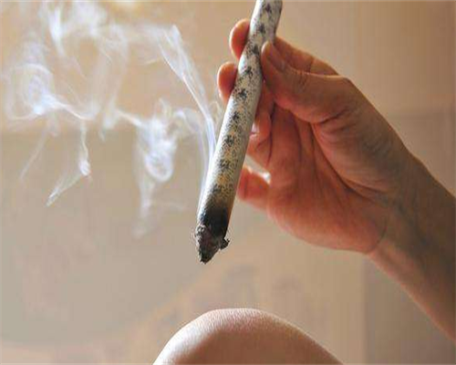 温州试管婴儿费用详解与花费明细表全面查询指南