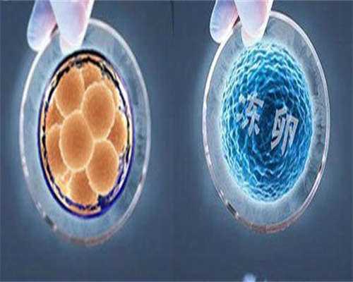 老公染色体异常去泰国做三代试管终成功