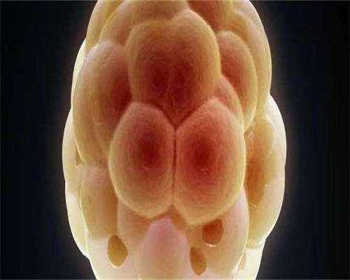 浙江代生求电话，2026浙江产假最新规定？浙江产假是多少天？