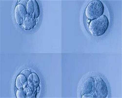 浙江宁波供卵助孕机构科普女性这五种行为打乱你的备孕节奏​