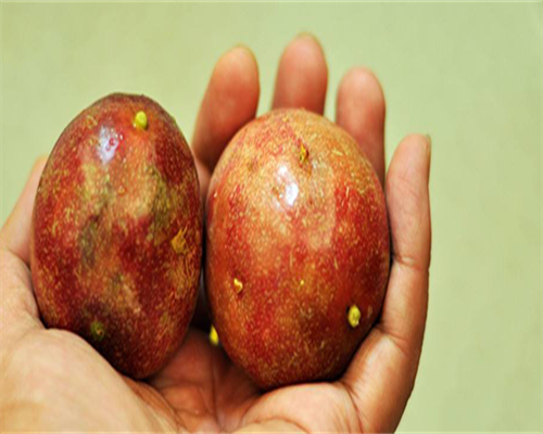 温州市人民医院试管婴儿好吗费用是多少