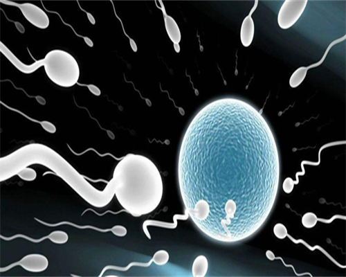 浙江如何申请捐卵，浙江省妇保试管成功率多少？浙江省妇保试管婴儿费用如何