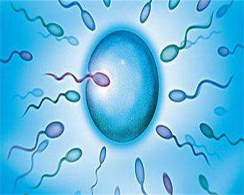 代孕双胞胎包男孩,卵巢囊肿怎么治疗最好？掌握2大方法远离不孕难题！