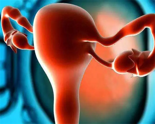 代孕那里最好,试管婴儿必须等男女双方染色体检查报告出来才能建档吗？