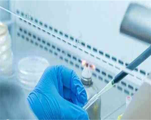 浙江哪个医院试管婴儿成功率高