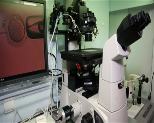 私人浙江孕妈，浙江湖州中备孕