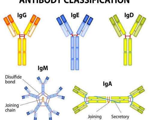 浙江试管成功率最高的医院