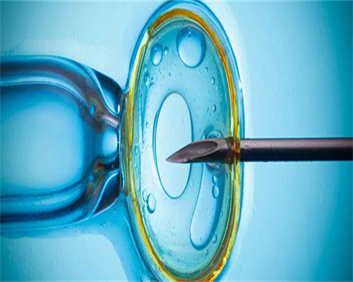 浙江异体供卵，哺乳假2026年新规定浙江