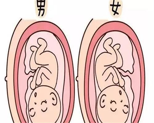 浙江借卵怀孕，浙江2026产假多少天？2026浙江产假最新规定？