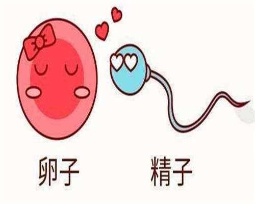 浙江有捐卵过的吗，浙江晚婚晚育产假规定