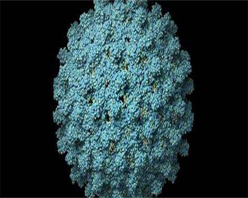 浙江哪里做试管婴儿最好的医院