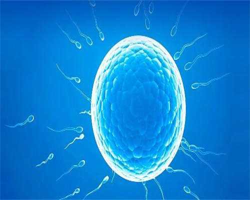 浙江捐卵子女生，浙江省浦江最高龄产妇健康生子，幕后