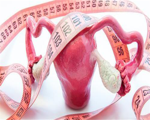 代怀产子包性别_助孕产子的包男孩, 怀孕前3个月要保胎不辞职一直请