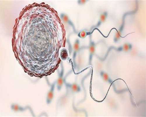 浙江我想生男宝宝，磅浙江开学时刻定了比幻想要早