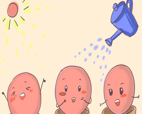 高鹰包生儿子费用_代怀包成功价格表, 怀孕2个月HCG每日翻倍仅0.2，注