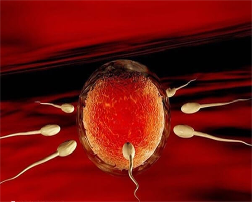 浙江机构供卵，浙江省机构排名