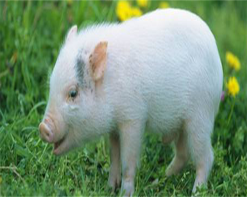 代妈50万私人_国内正规代孕机构,什么是宫腔粘连？宫腔粘连的预防