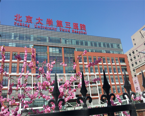 浙江供卵成功率多少,浙江省妇保医院试管婴儿费用多少？试管成功率高不高？