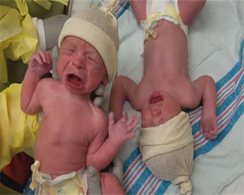 浙江代生热线，浙江产假多少天2026？2026浙江产假最新规定？