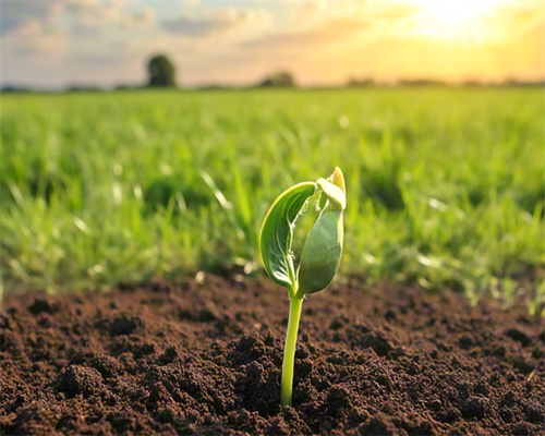 第三代试管婴儿助孕：移植第九天血值没翻倍是失败了吗移植后要几天才能知道