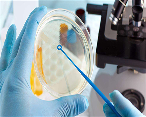 浙江供卵收费，浙江产假多少天2026？2026浙江产假最新规定？